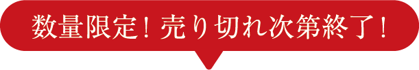 数量限定！売り切れ次第終了！