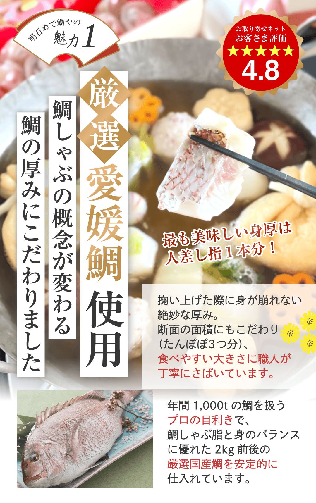 明石めで鯛やの魅力1 厳選愛媛鯛使用 鯛しゃぶの概念が変わる鯛の厚みにこだわりました 掬い上げた際に身が崩れない絶妙な厚み。断面の面積にもこだわり（たんぽぽ3つ分）、食べやすい大きさに職人が丁寧にさばいています。年間 1,000tのたいを扱うプロの目利きで、鯛しゃぶ脂と身のバランスに優れた2kg前後の厳選国産鯛を安定的に仕入れています。